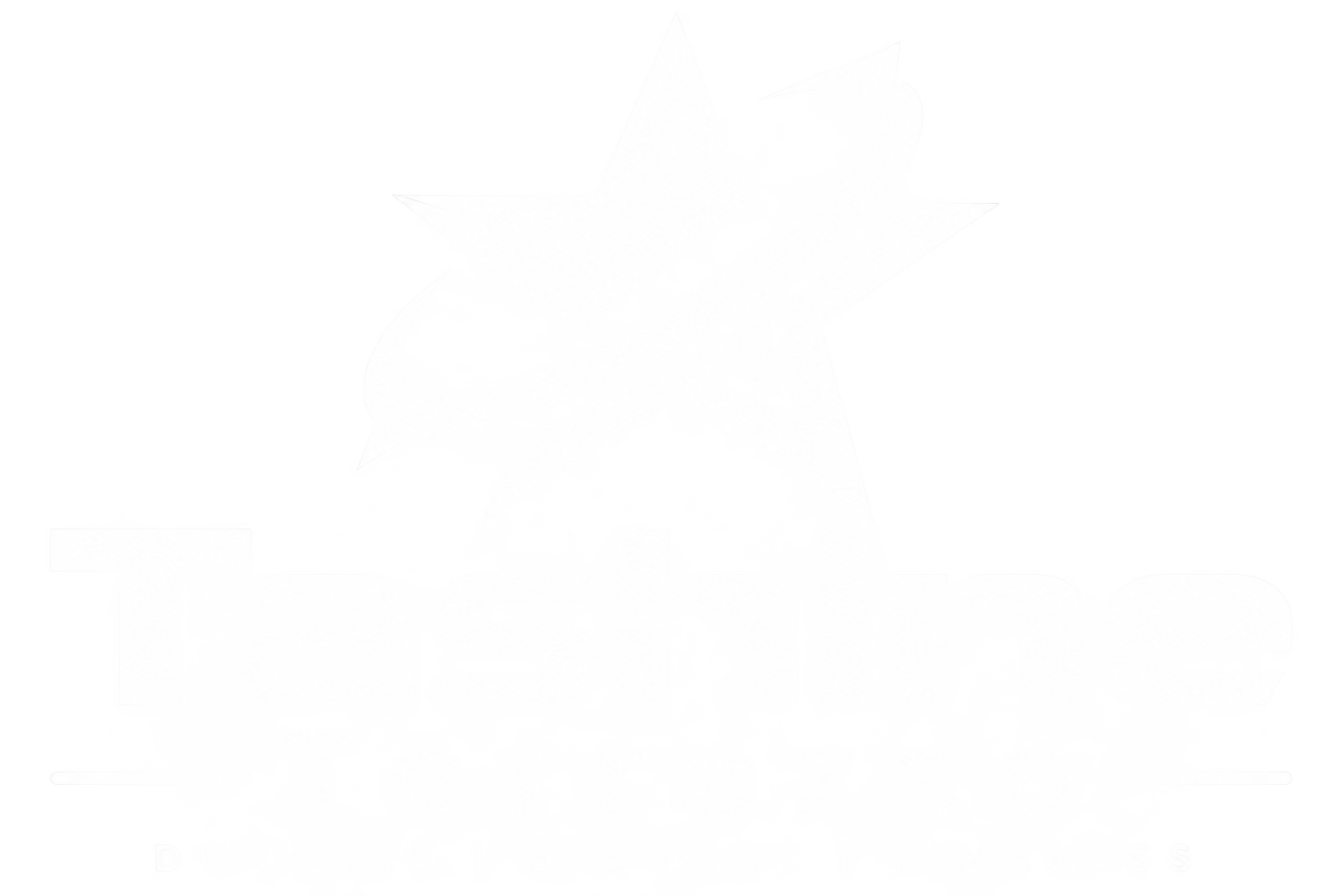 TASHINE TERRAZZO ENTERPRISE